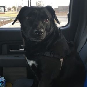 Meet your Posher, Ella